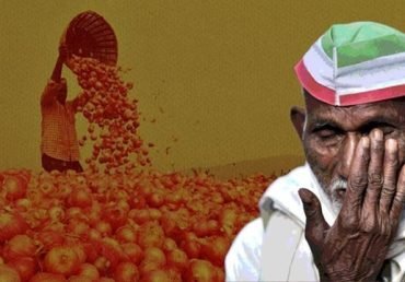 ONIONS THAT MADE FARMERS CRY!